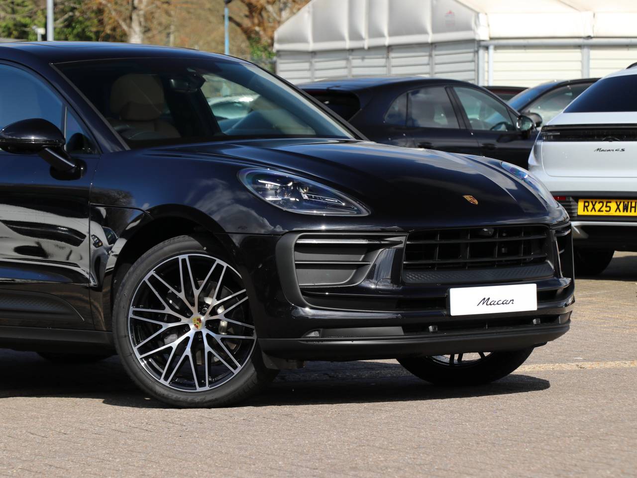 Macan (36) image 35