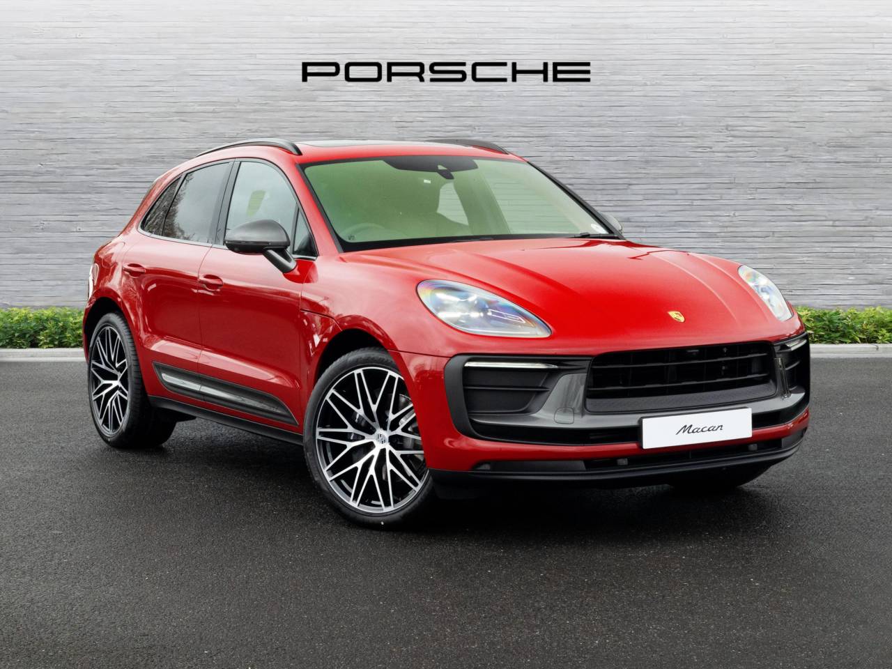 Macan 