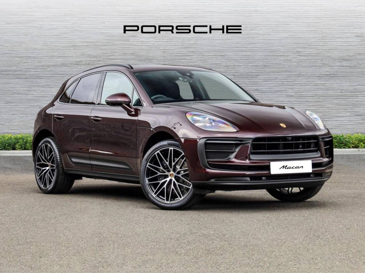 Macan 