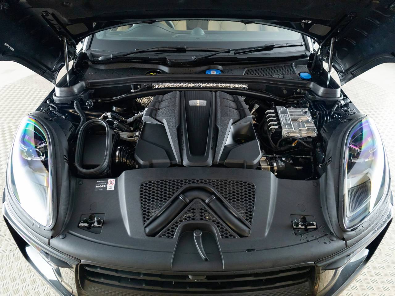 Macan (36) image 13