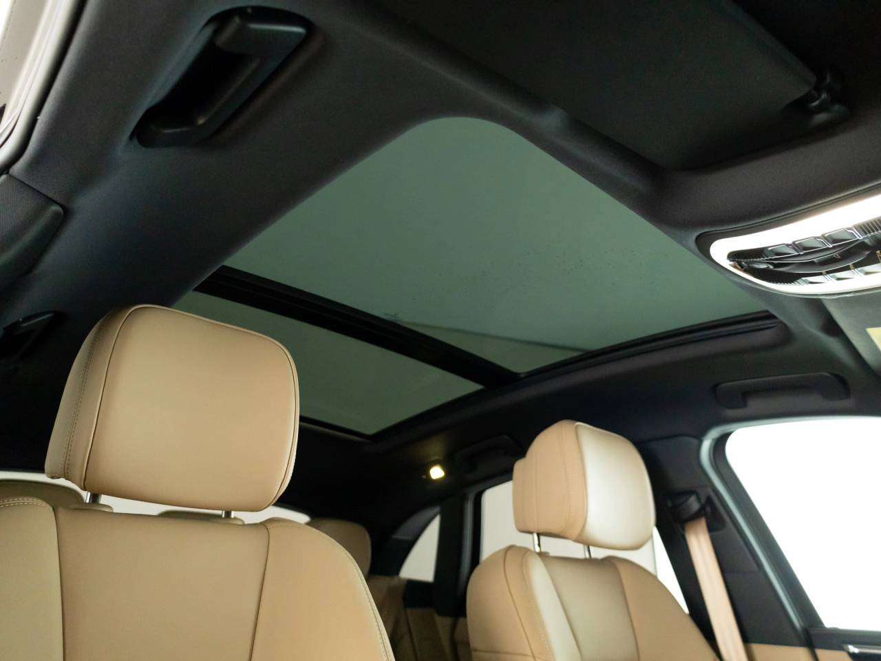 Macan (36) image 18