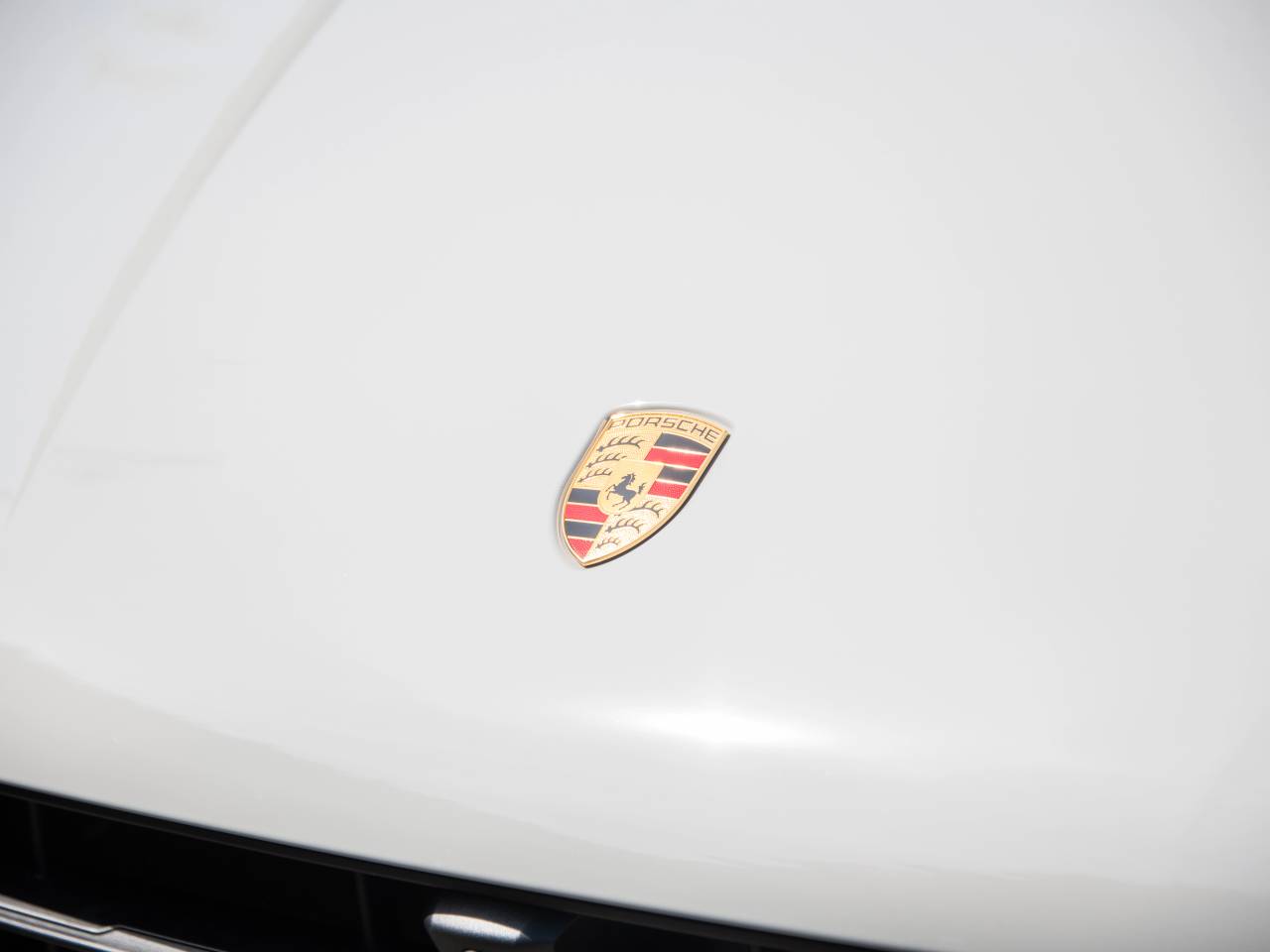 Macan (71) image 12