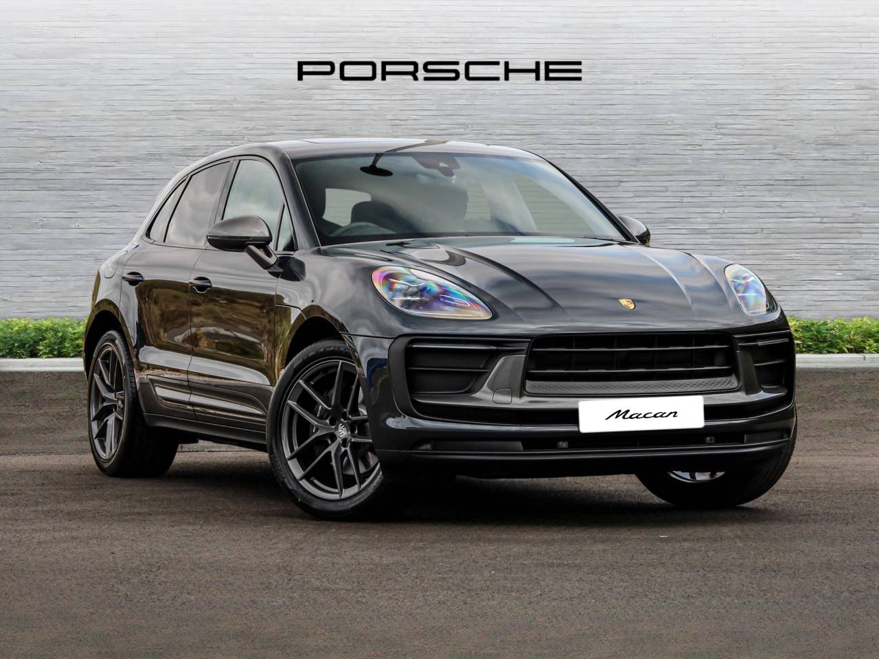 Macan 
