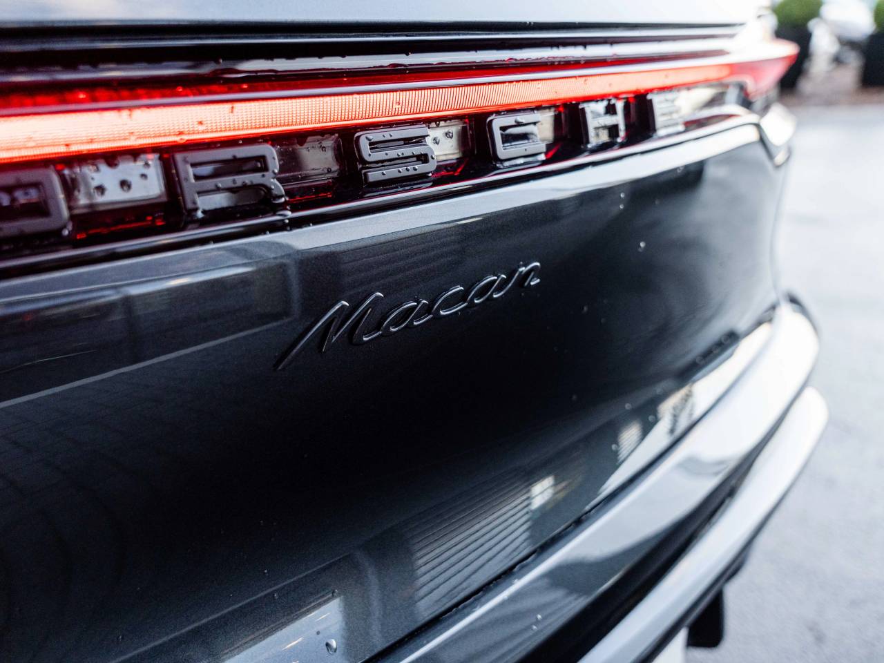 Macan (42) image 13