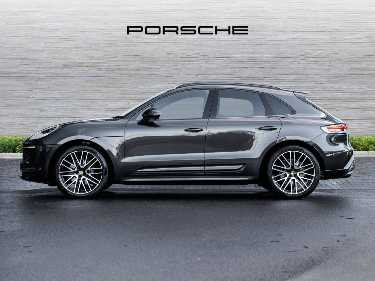 Macan (42) image 06