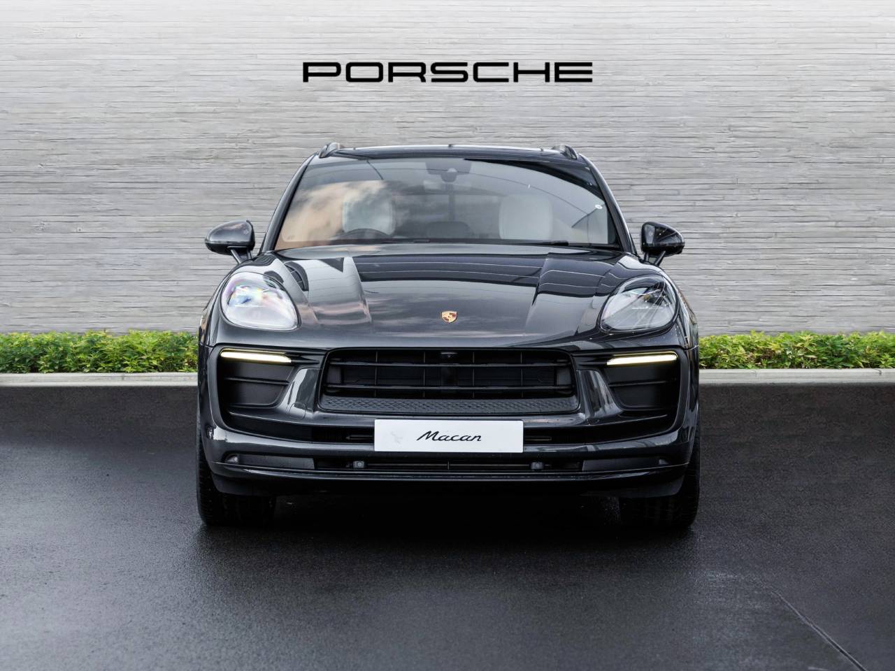 Macan (42) image 07