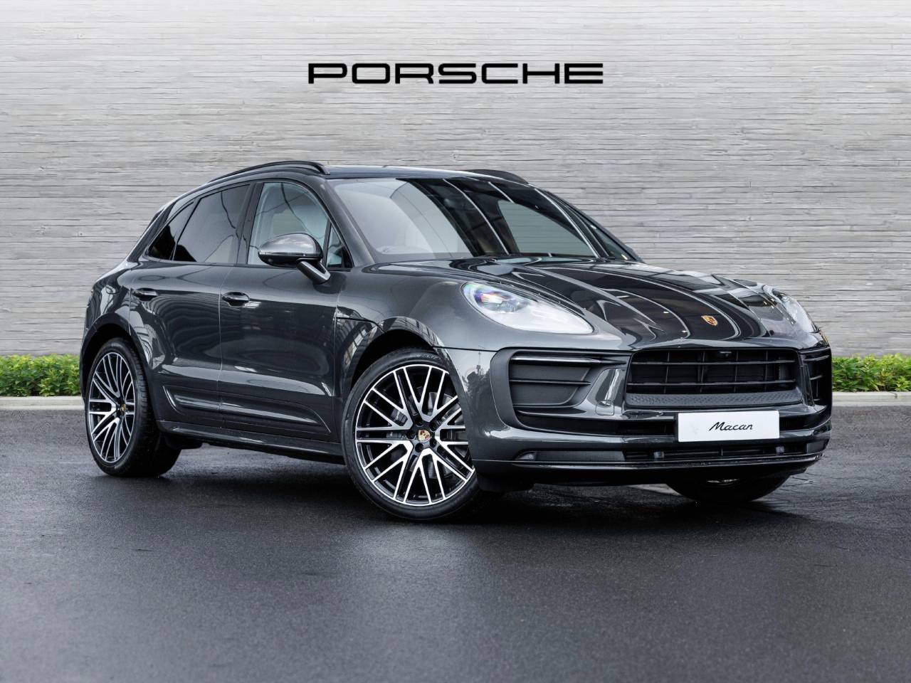 Macan 