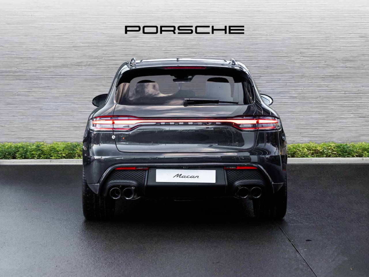Macan (42) image 08