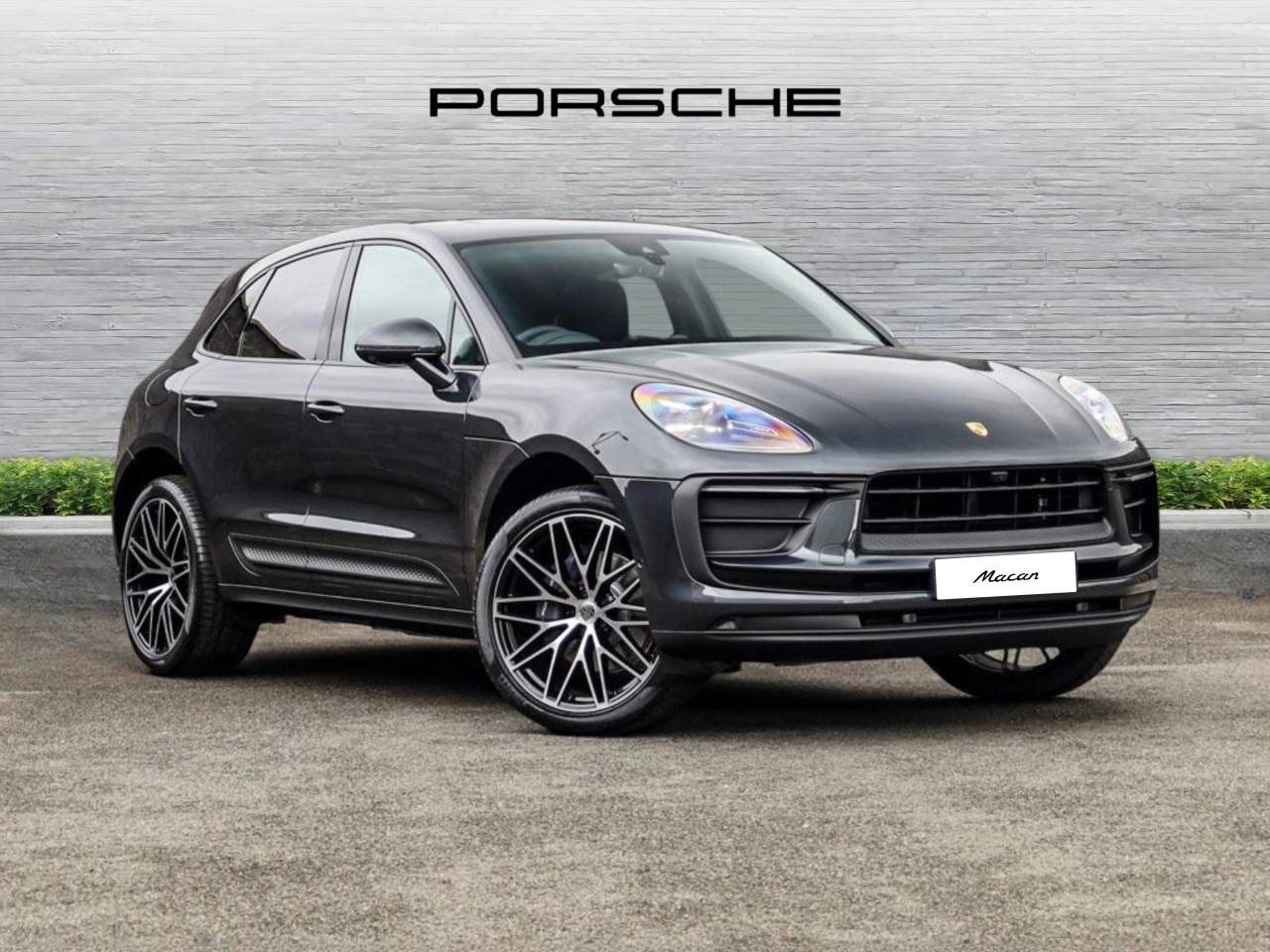 Macan 