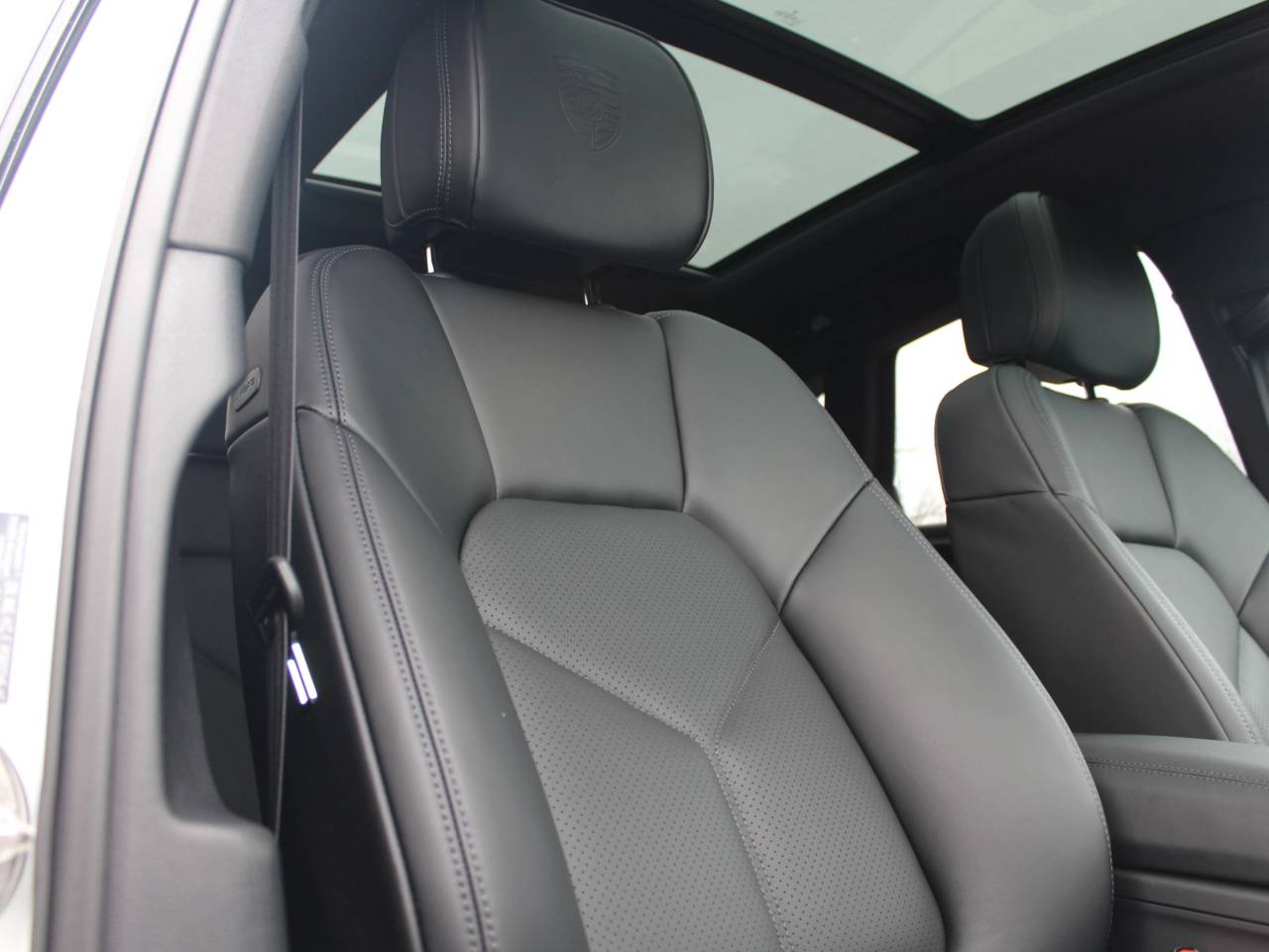 Macan (30) image 05