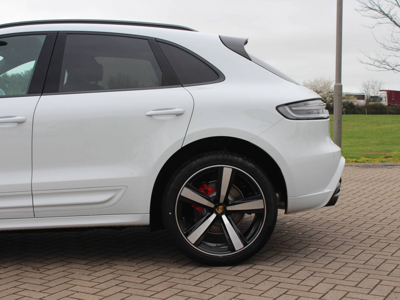 Macan (30) image 14
