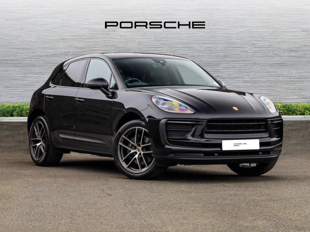 Macan PDK