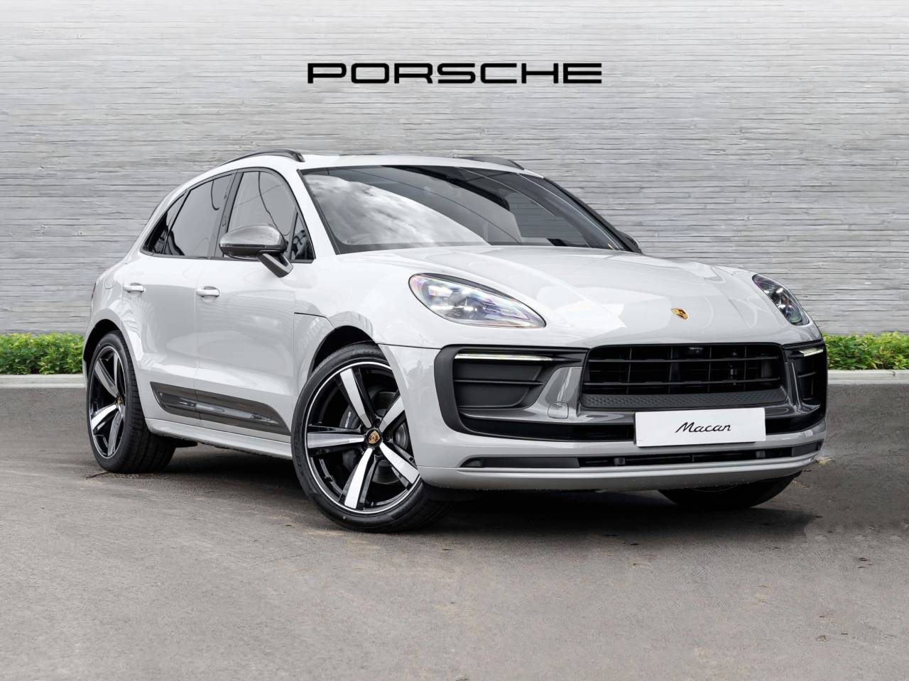 Macan 