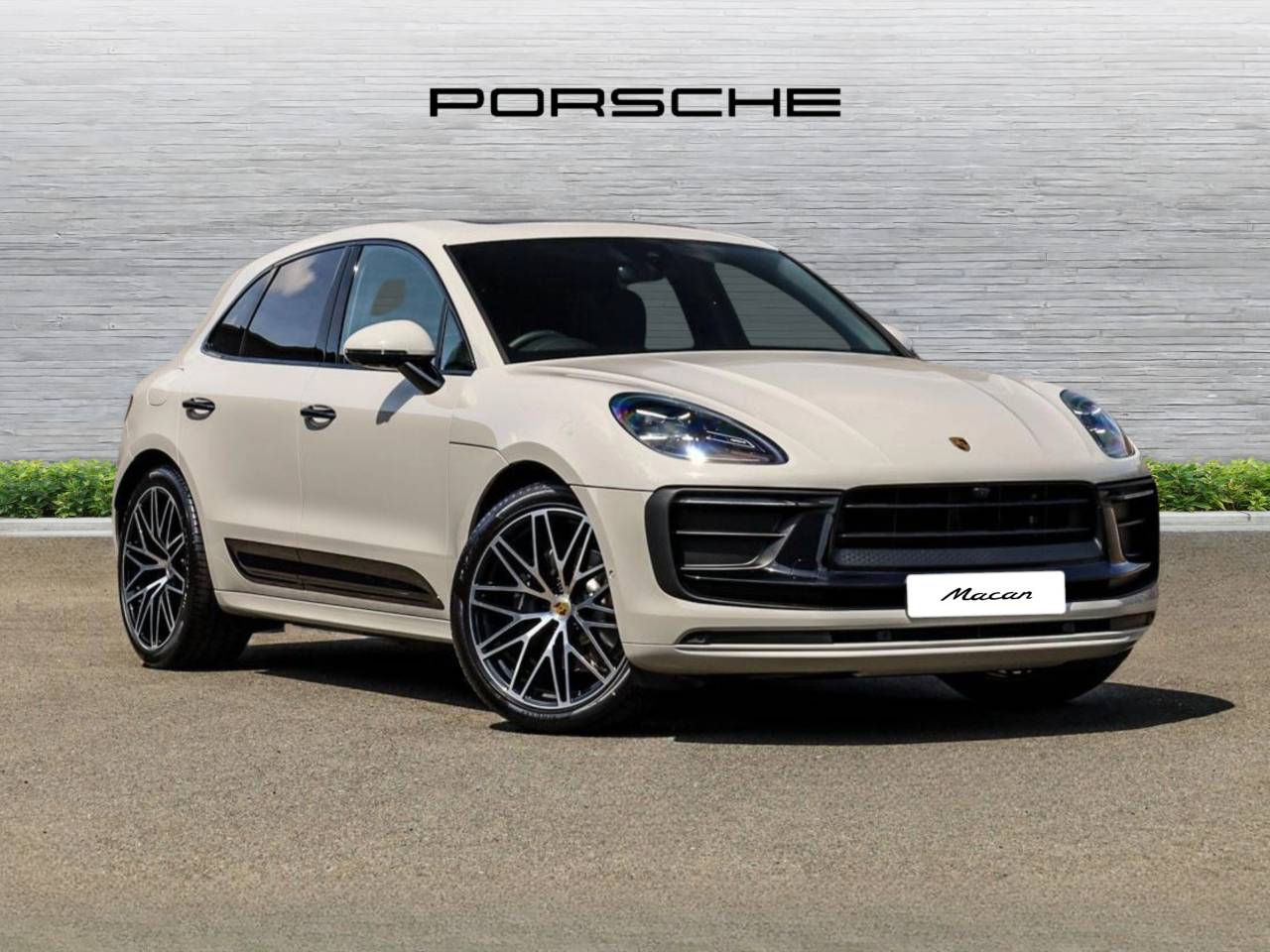 Macan 