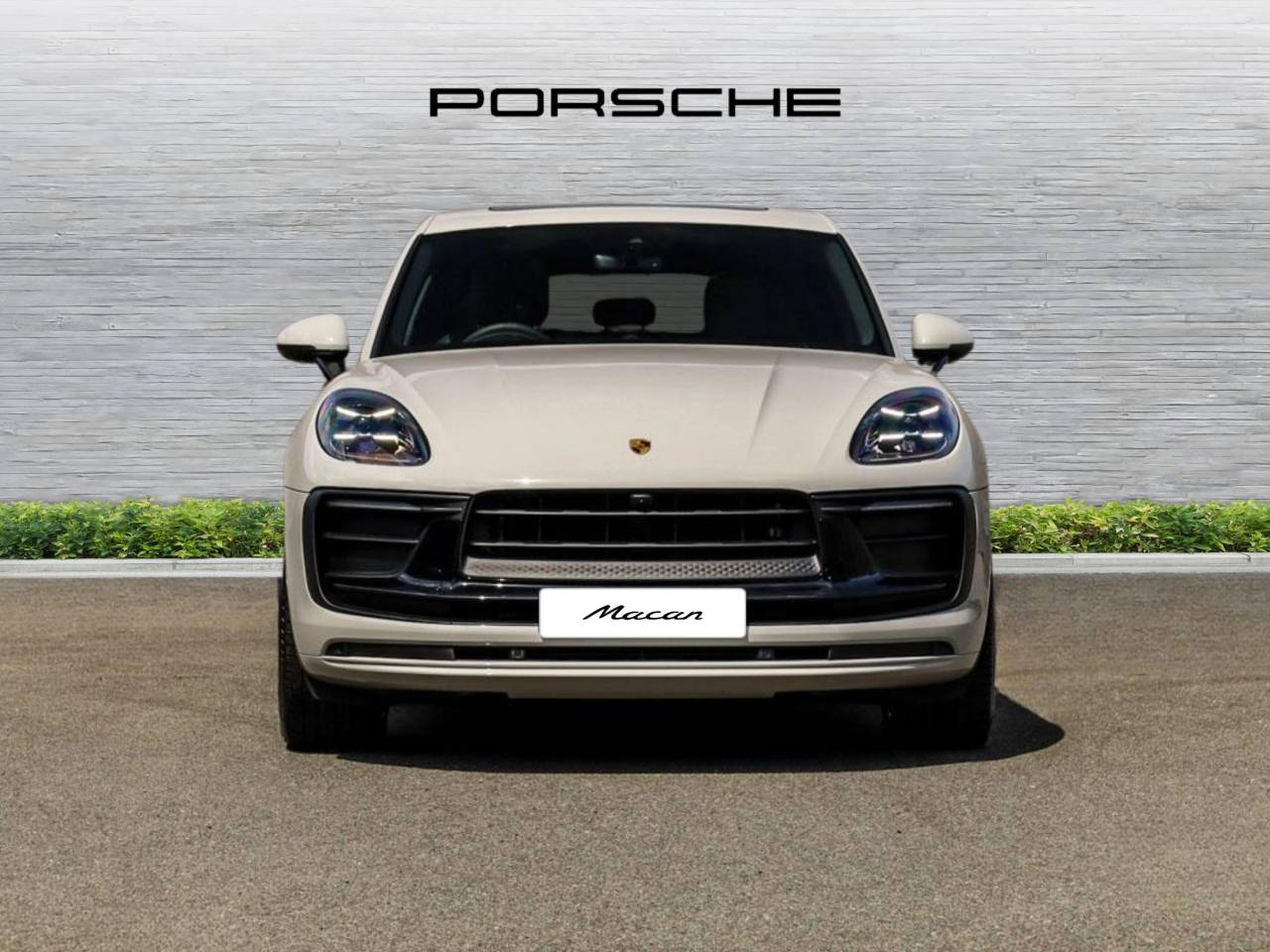 Macan (74) image 09