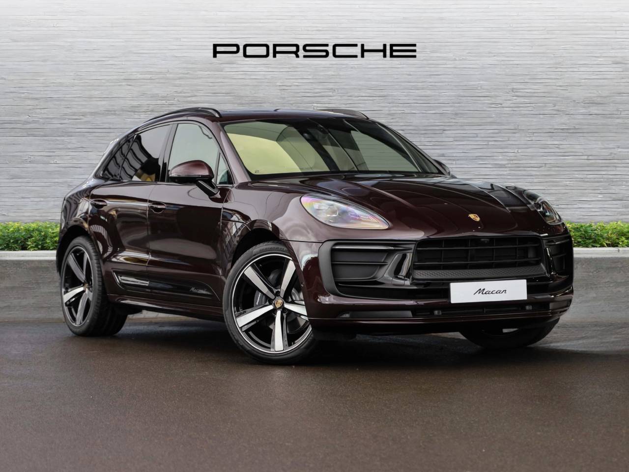 Macan 