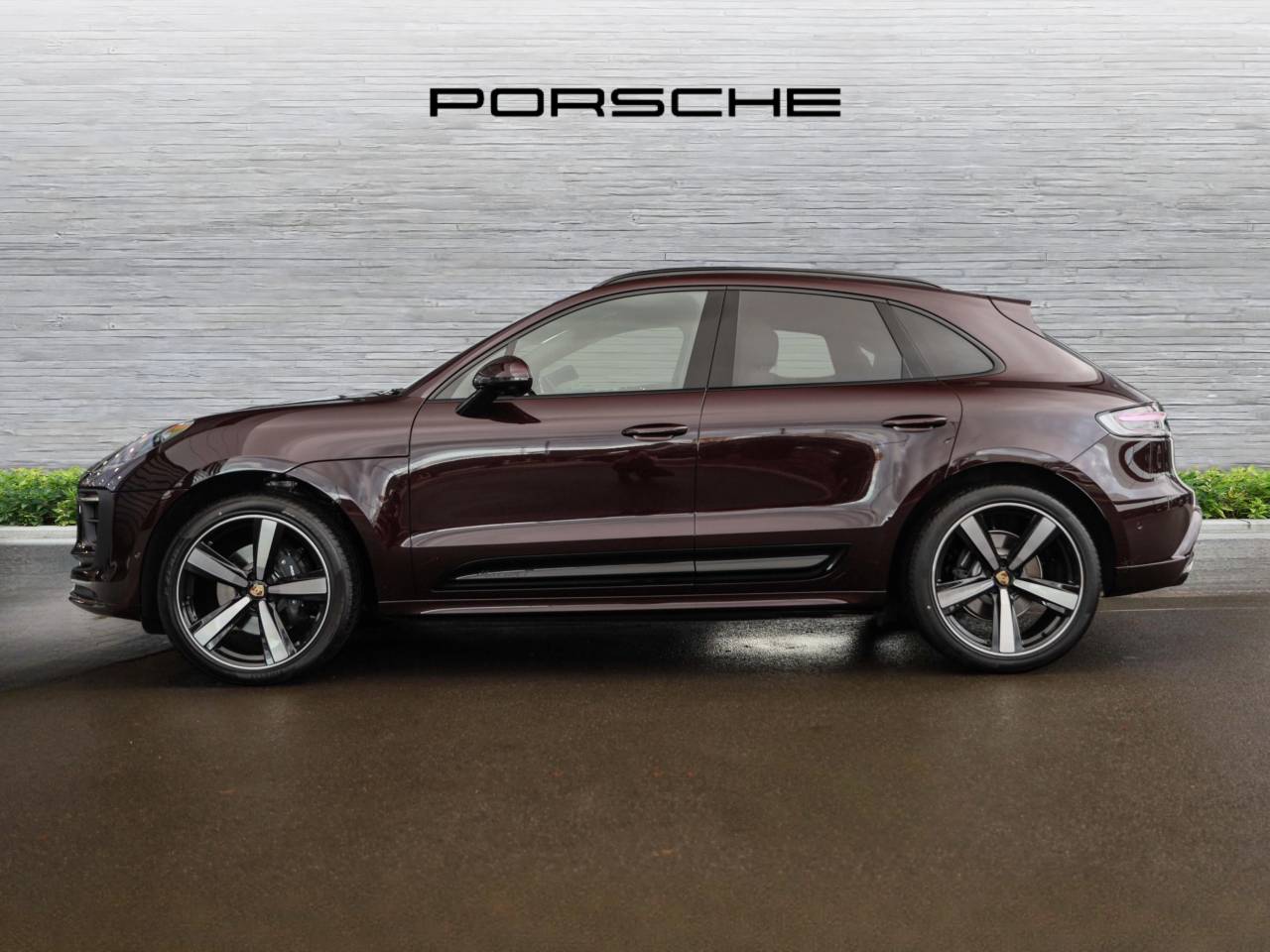 Macan (27) image 06