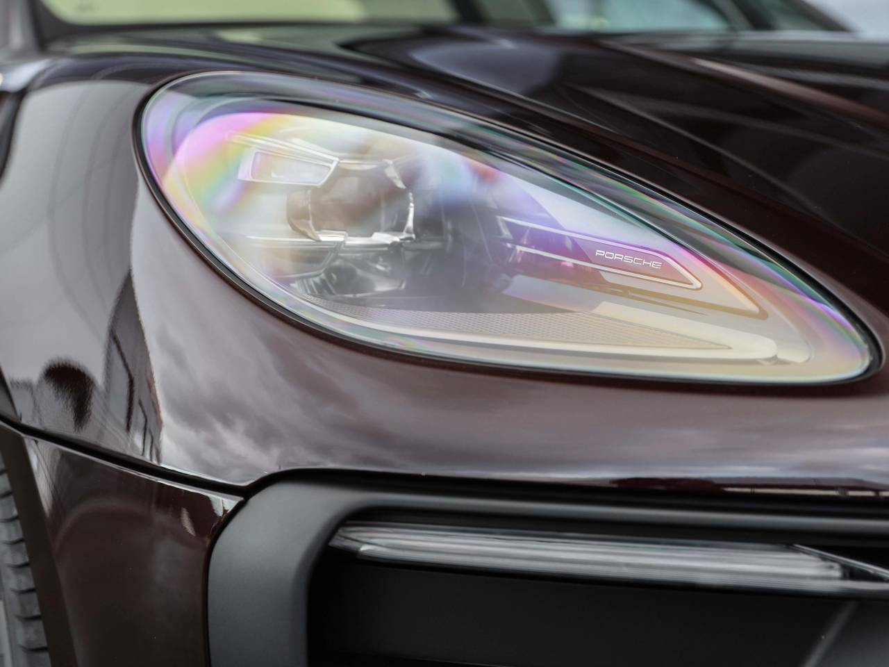 Macan (27) image 10
