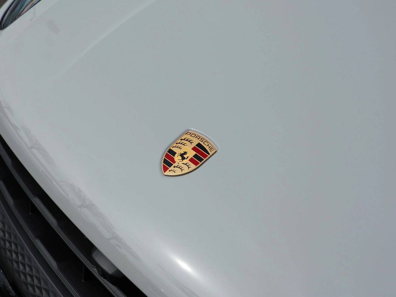Macan (74) image 11