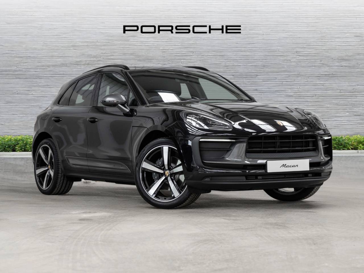 Macan 