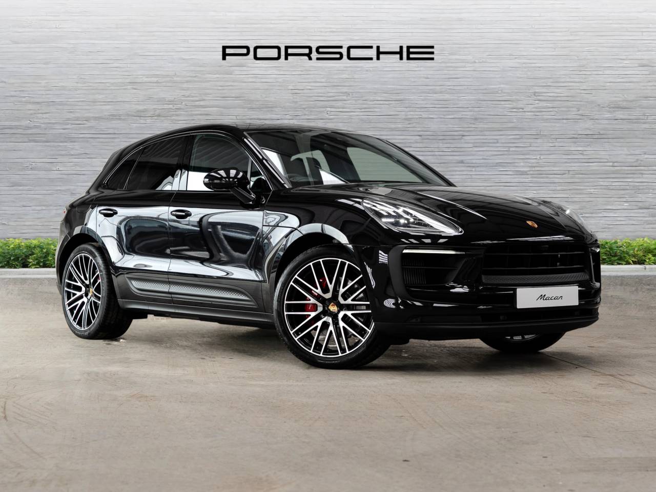 Macan 