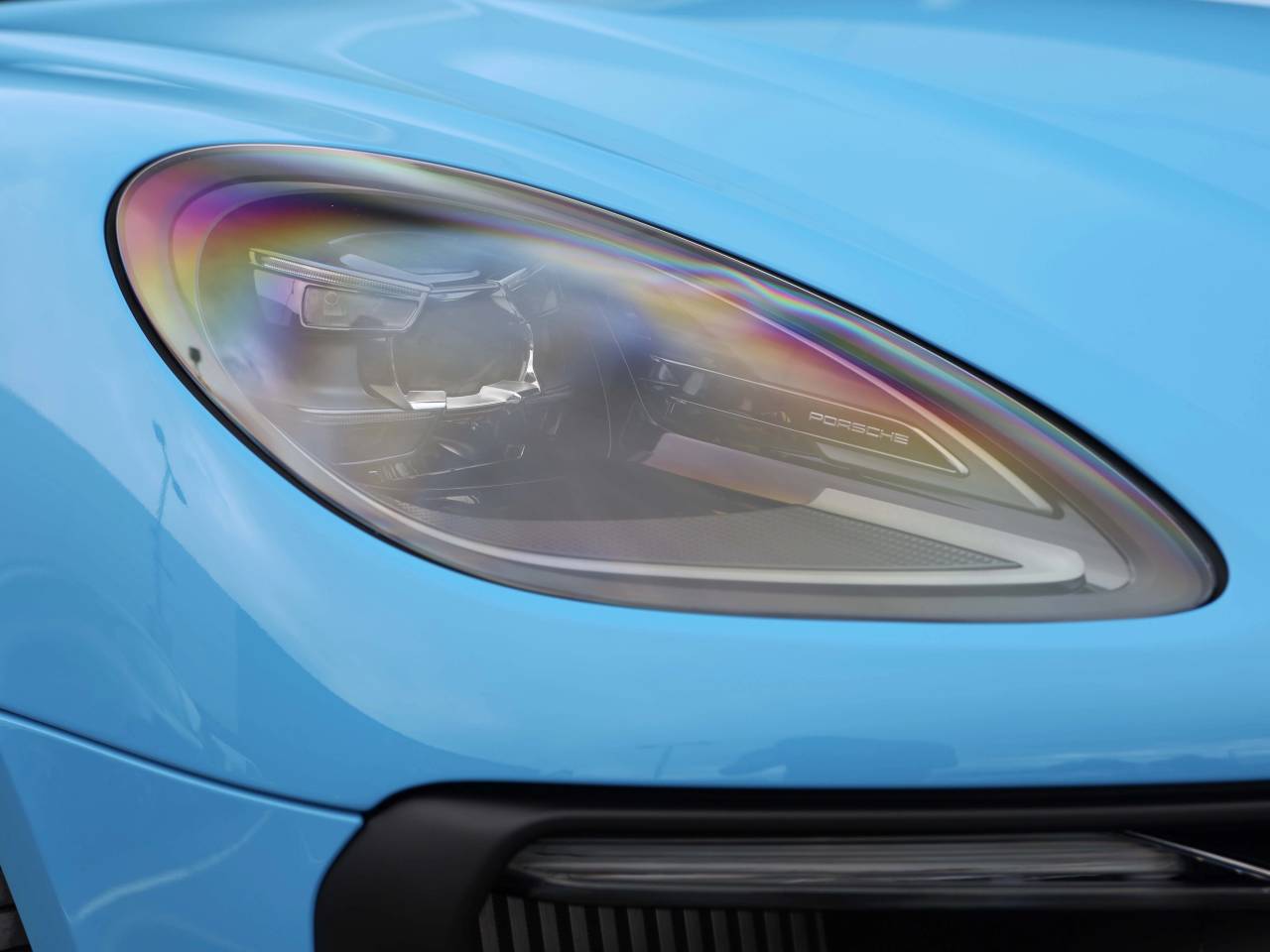 Macan (56) image 10