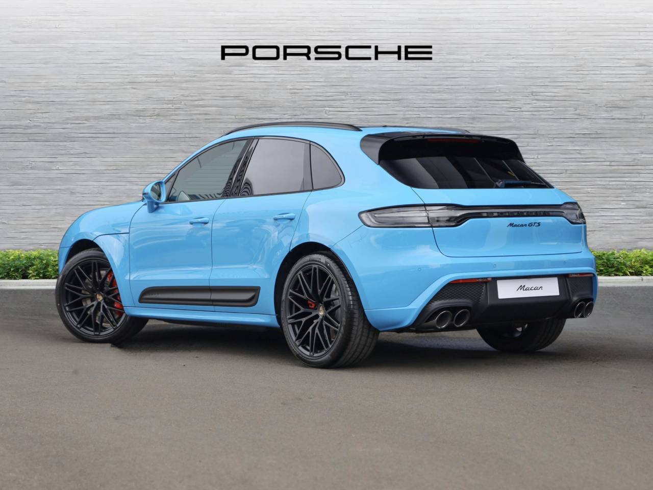 Macan (56) image 02