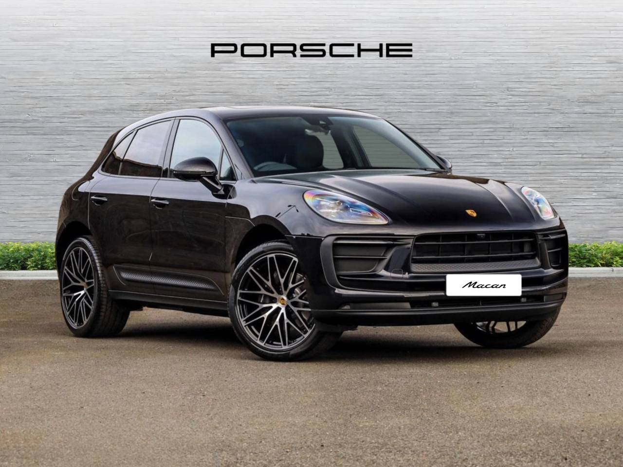 Macan 