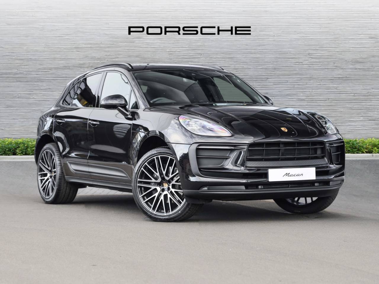 Macan 