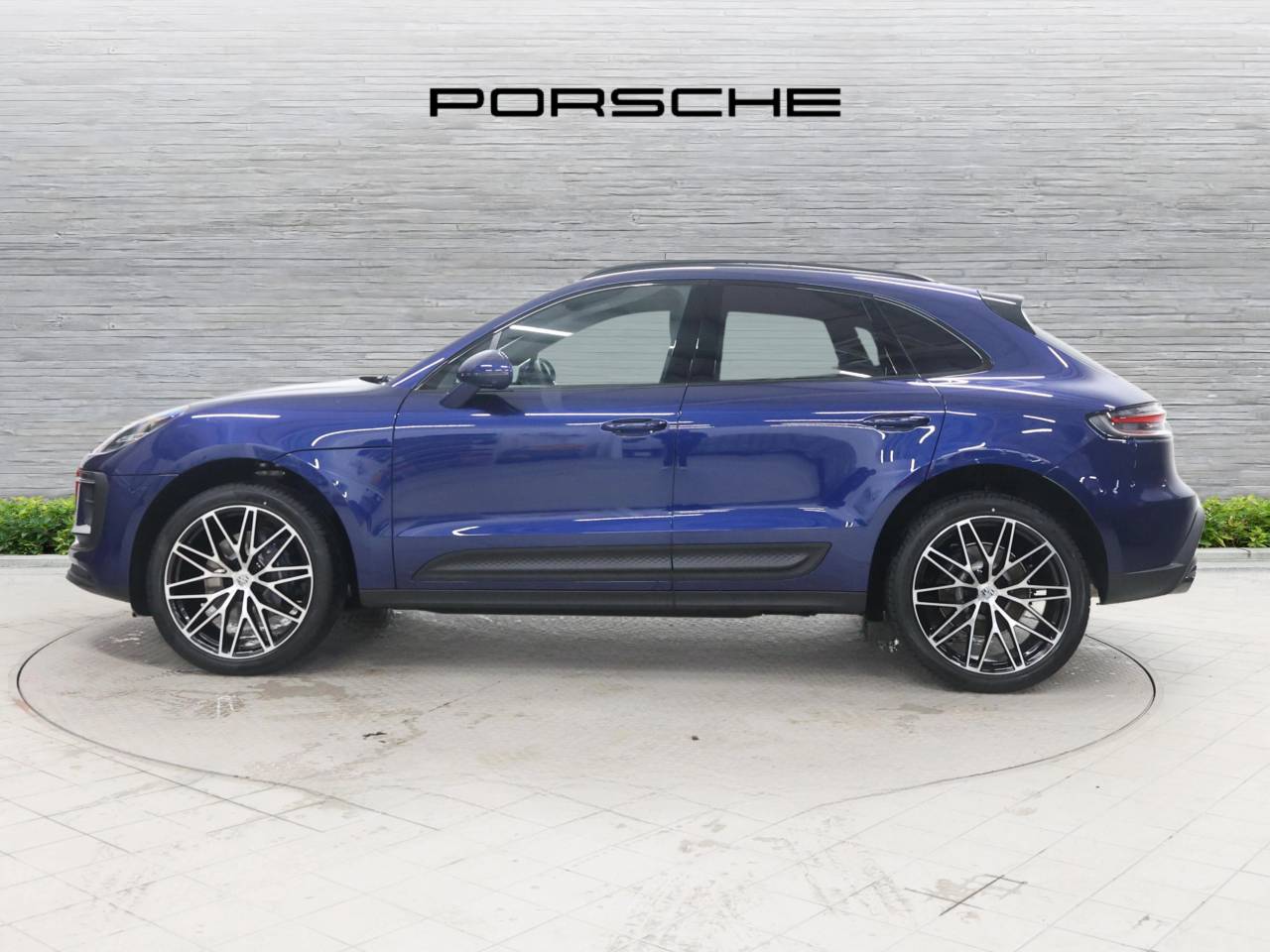 Macan (25) image 06
