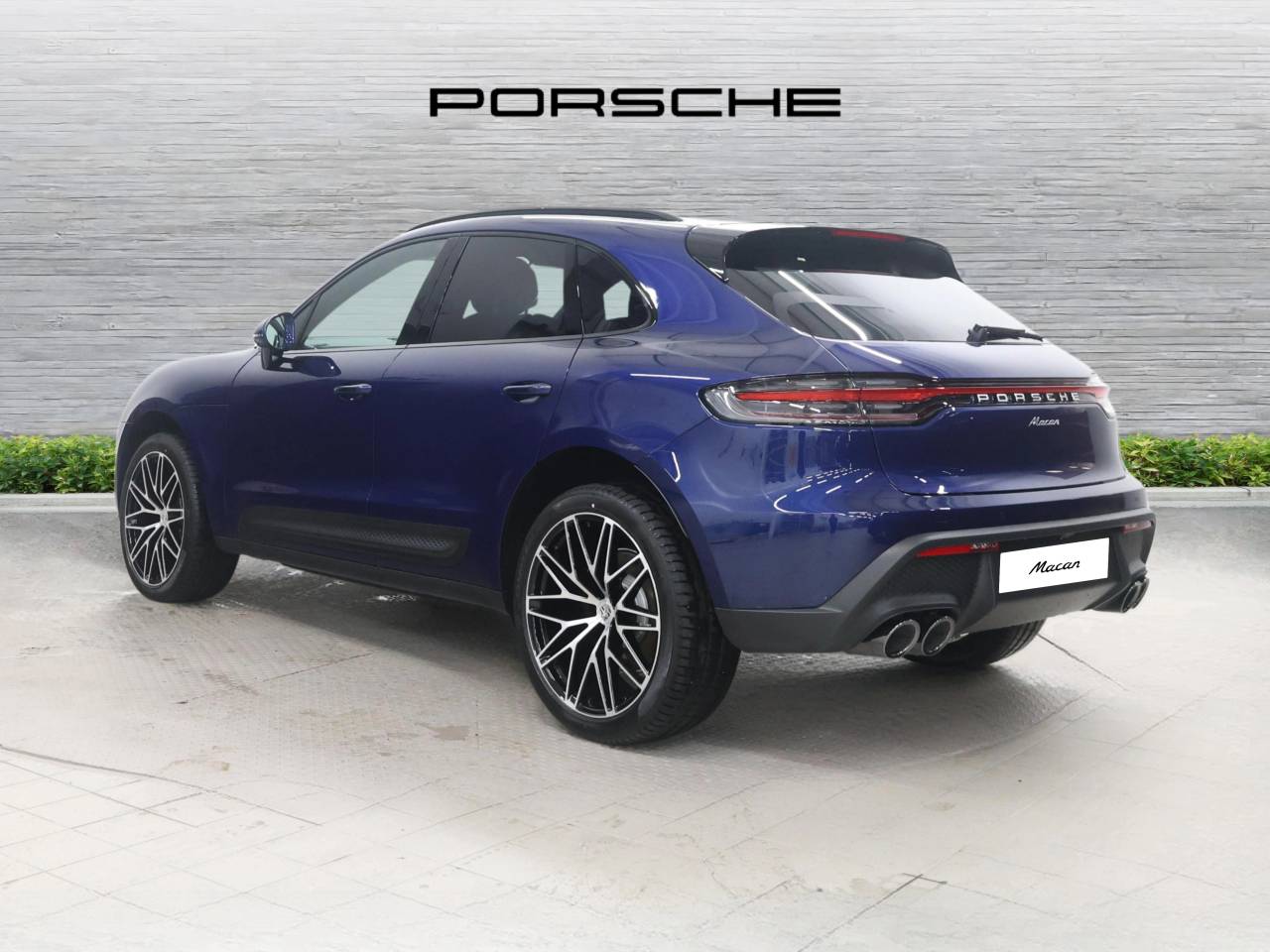 Macan (25) image 08