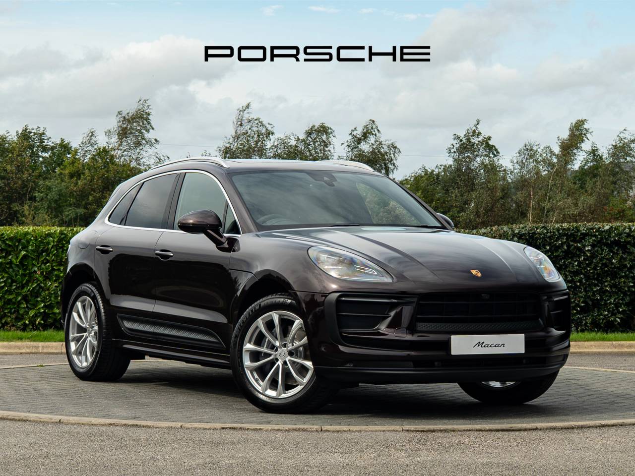 Macan 