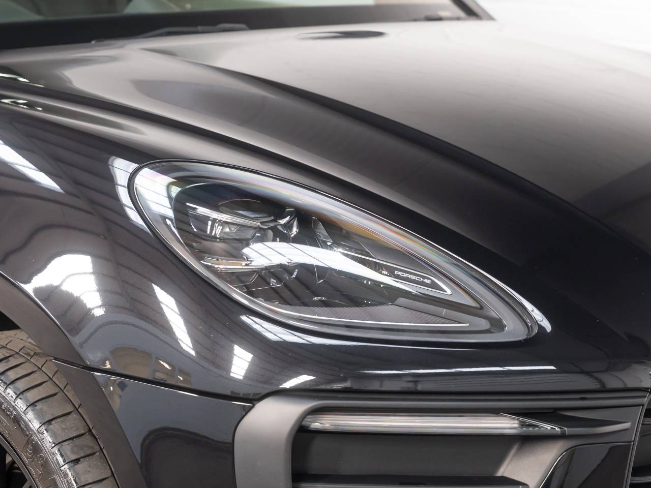 Macan PDK (43) image 11
