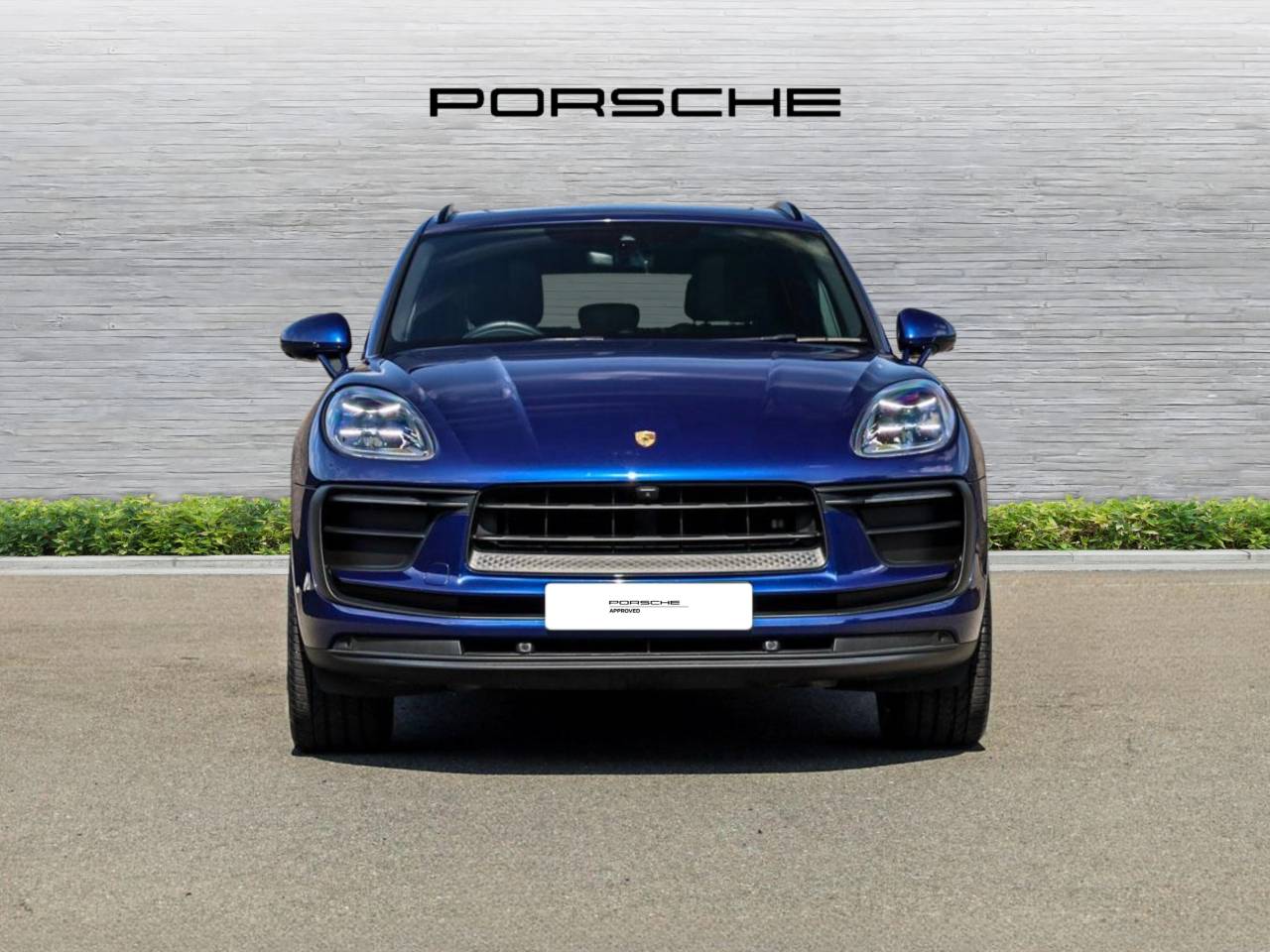 Macan PDK (45) image 46