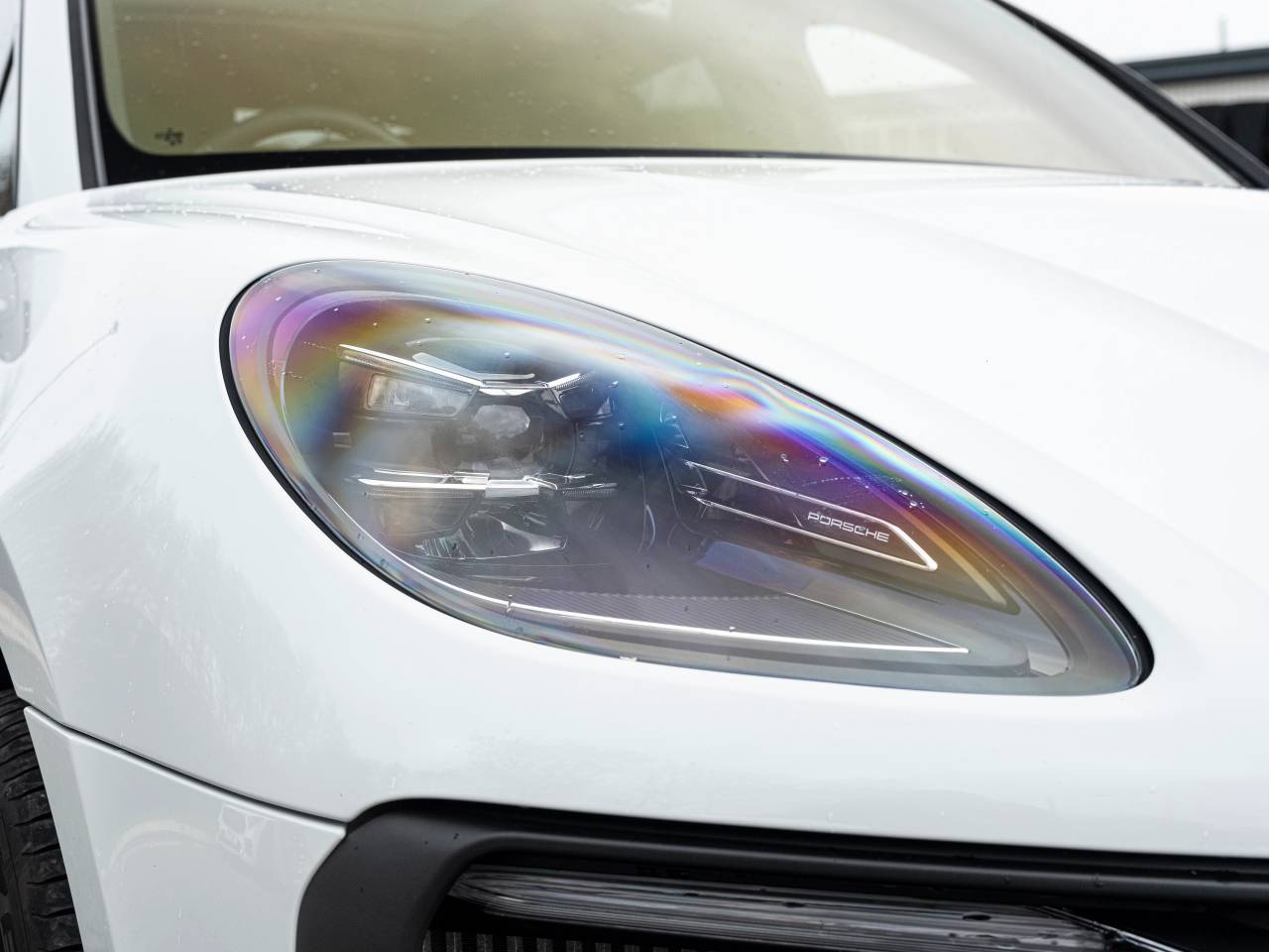 Macan (95) image 41