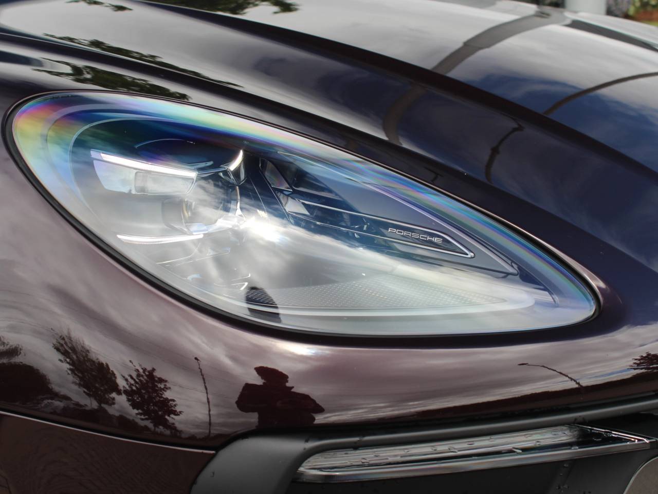 Macan (19) image 10