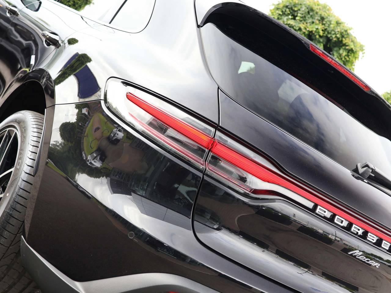 Macan PDK (203) image 10