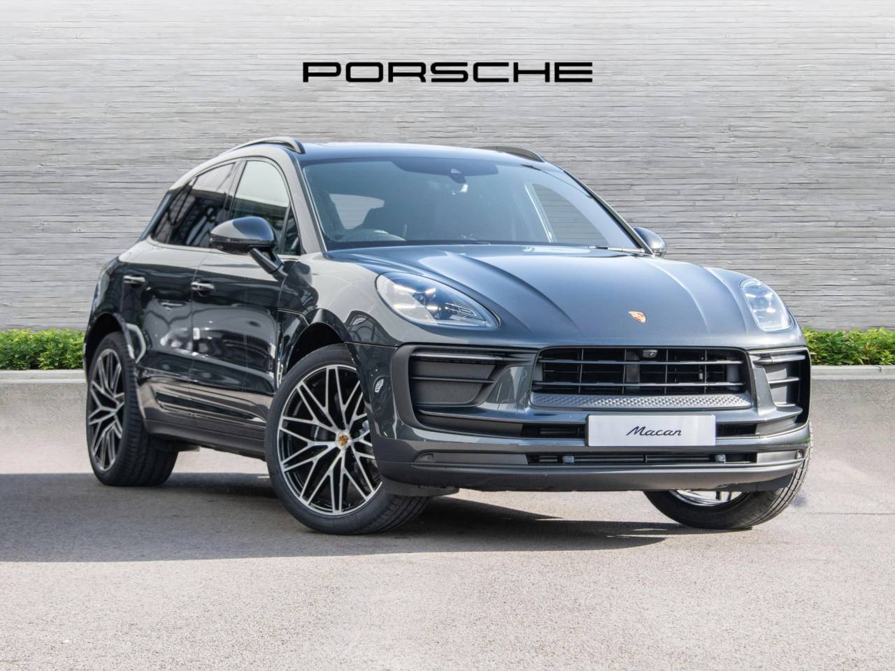 Macan 