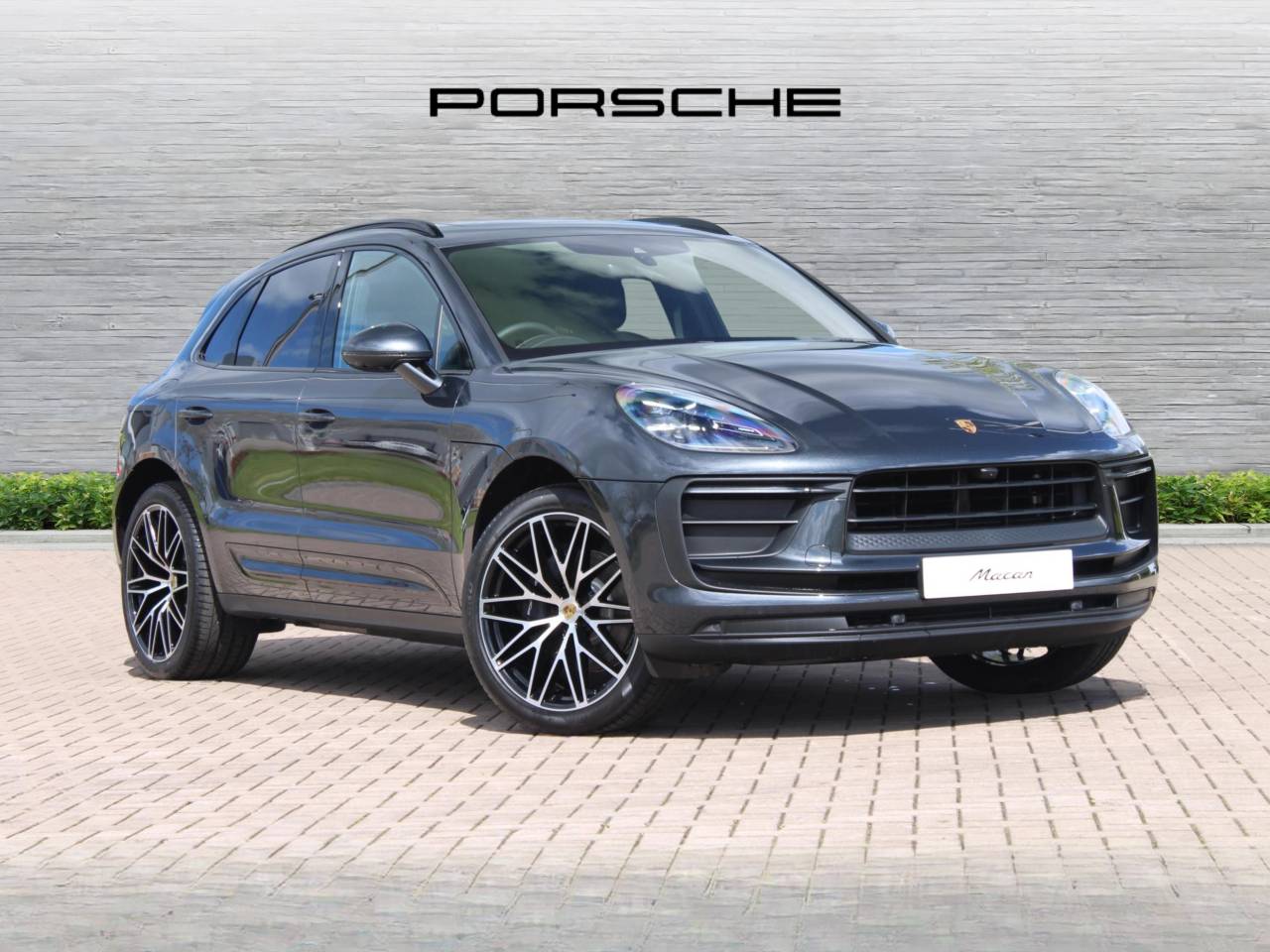 Macan 