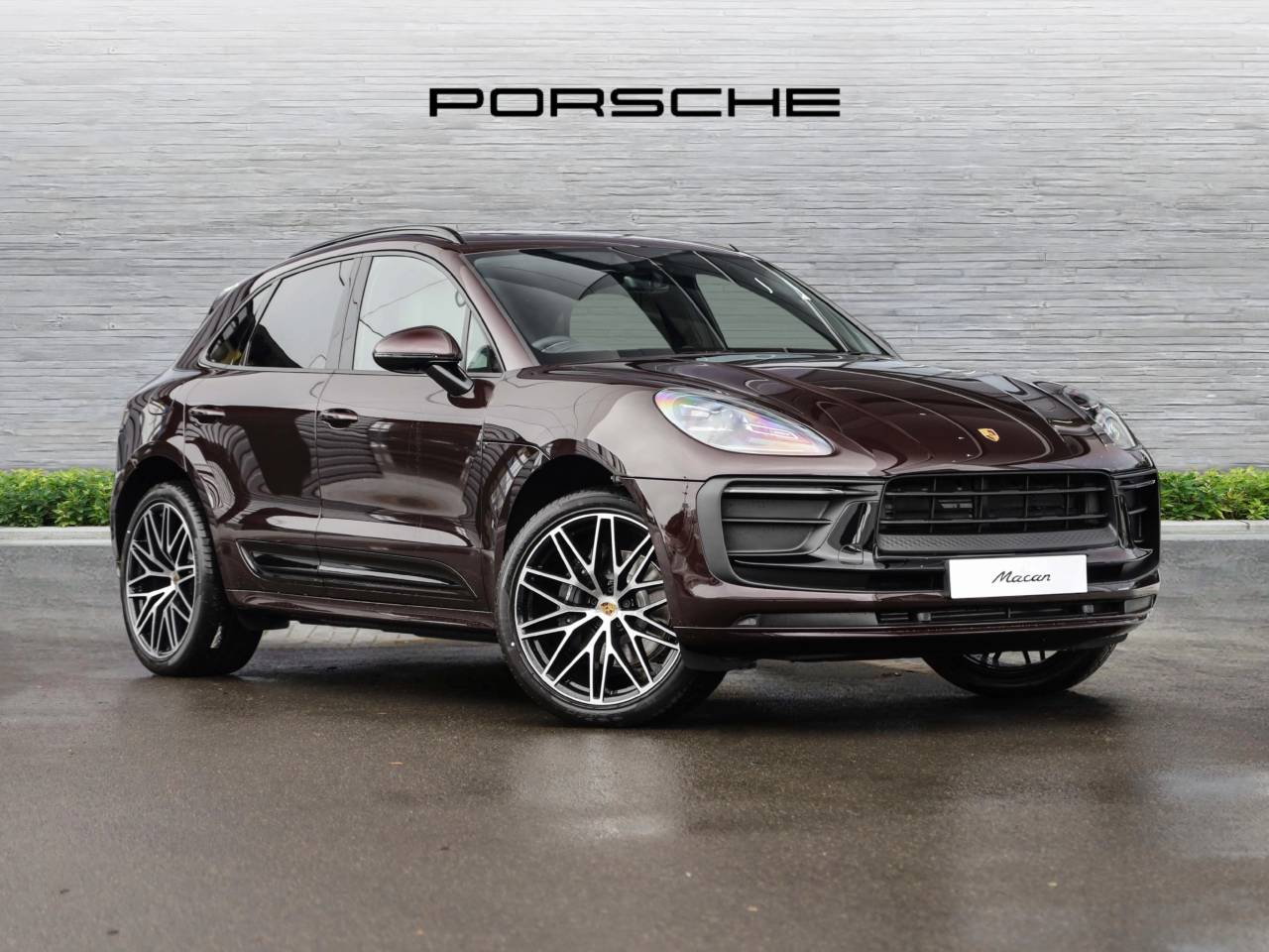 Macan 