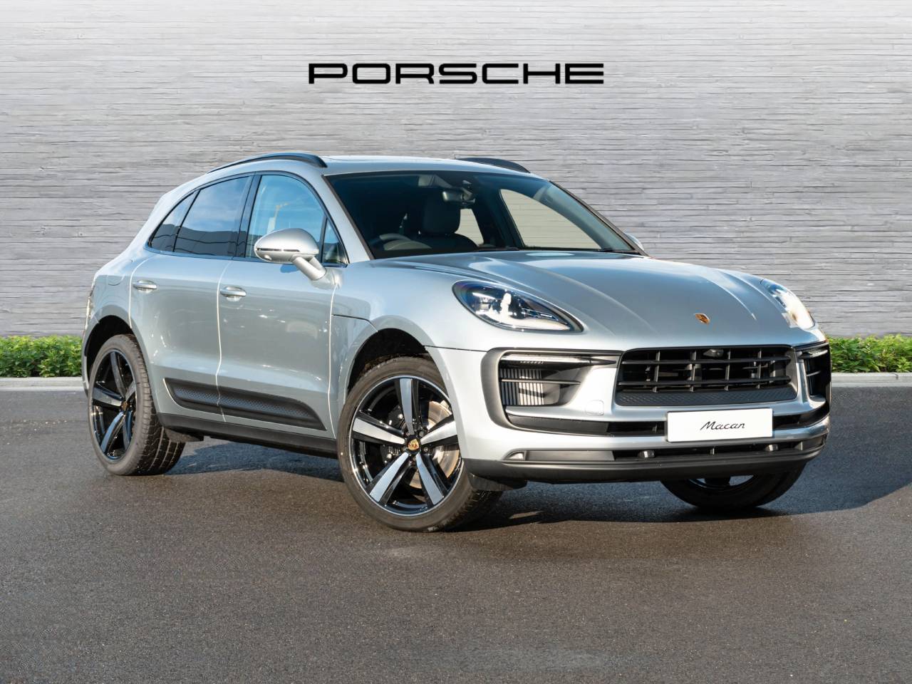 Macan 