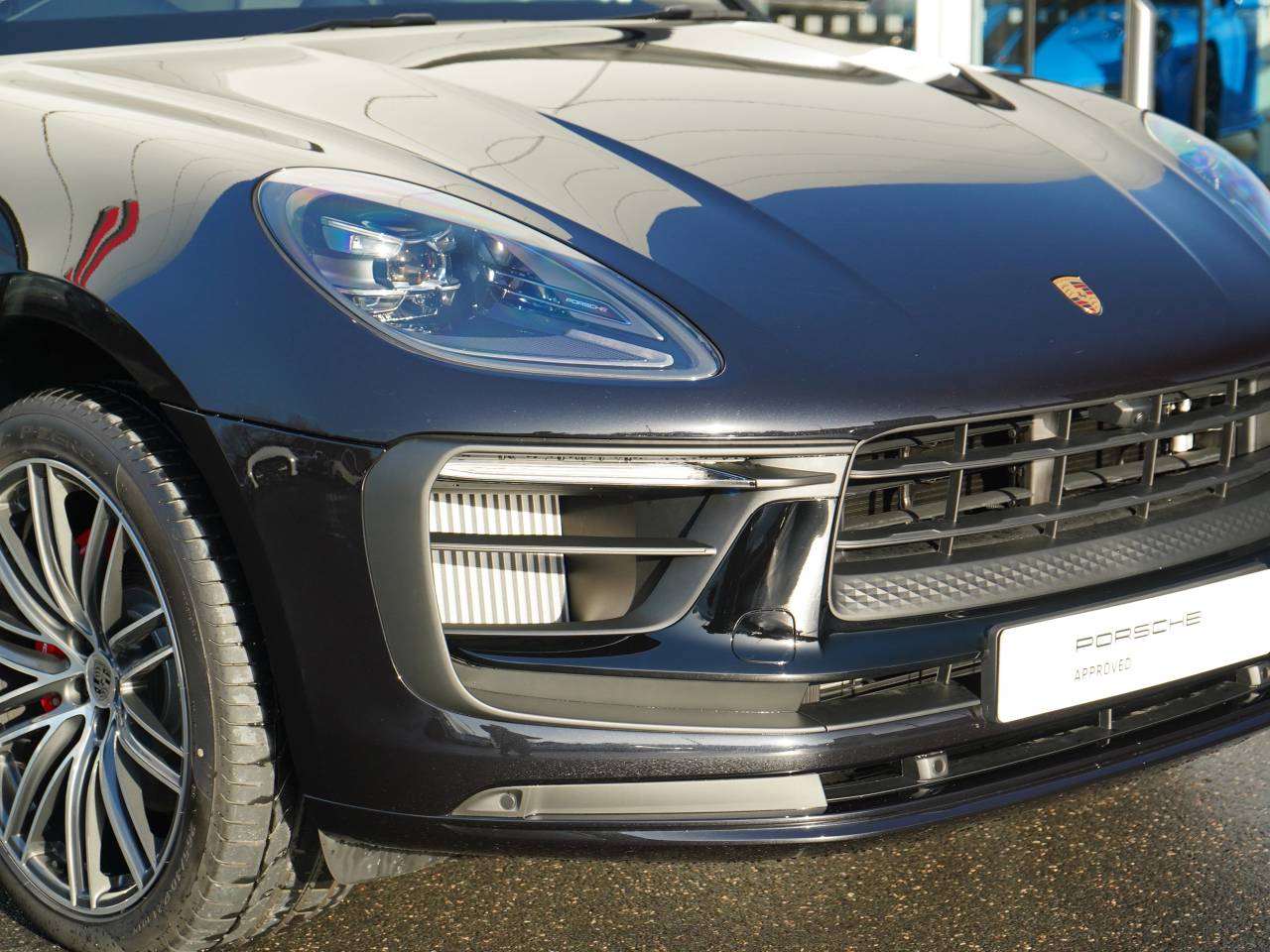 Macan (34) image 10
