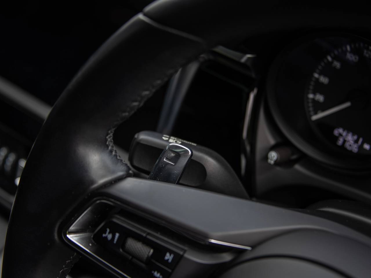Macan S PDK (134) image 39