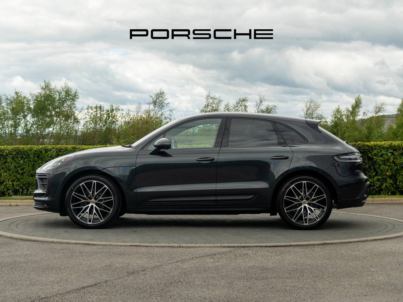Macan (29) image 07