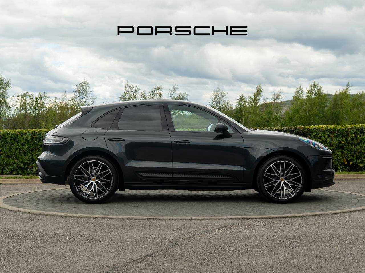 Macan (29) image 16
