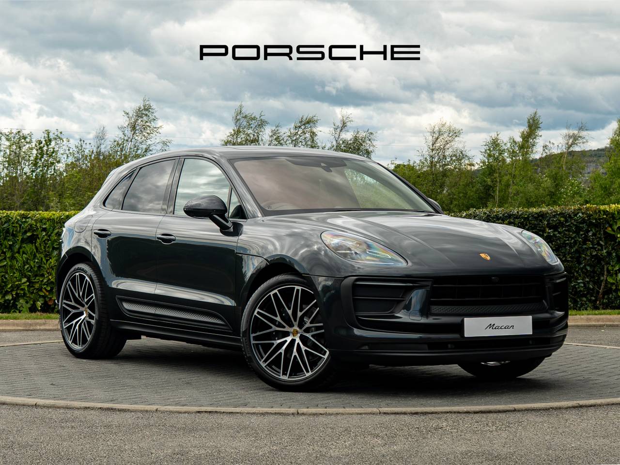 Macan 