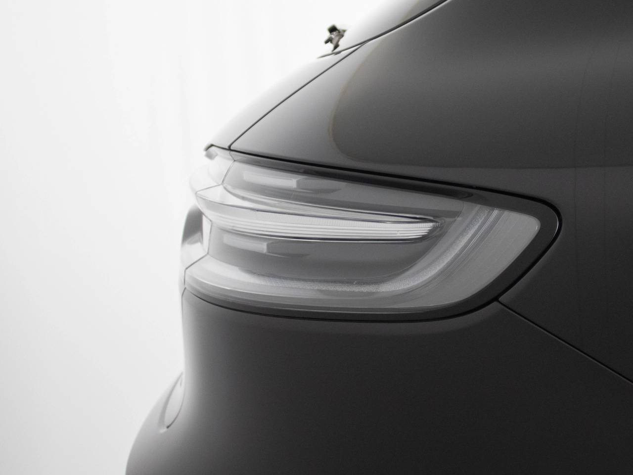 Macan (29) image 16