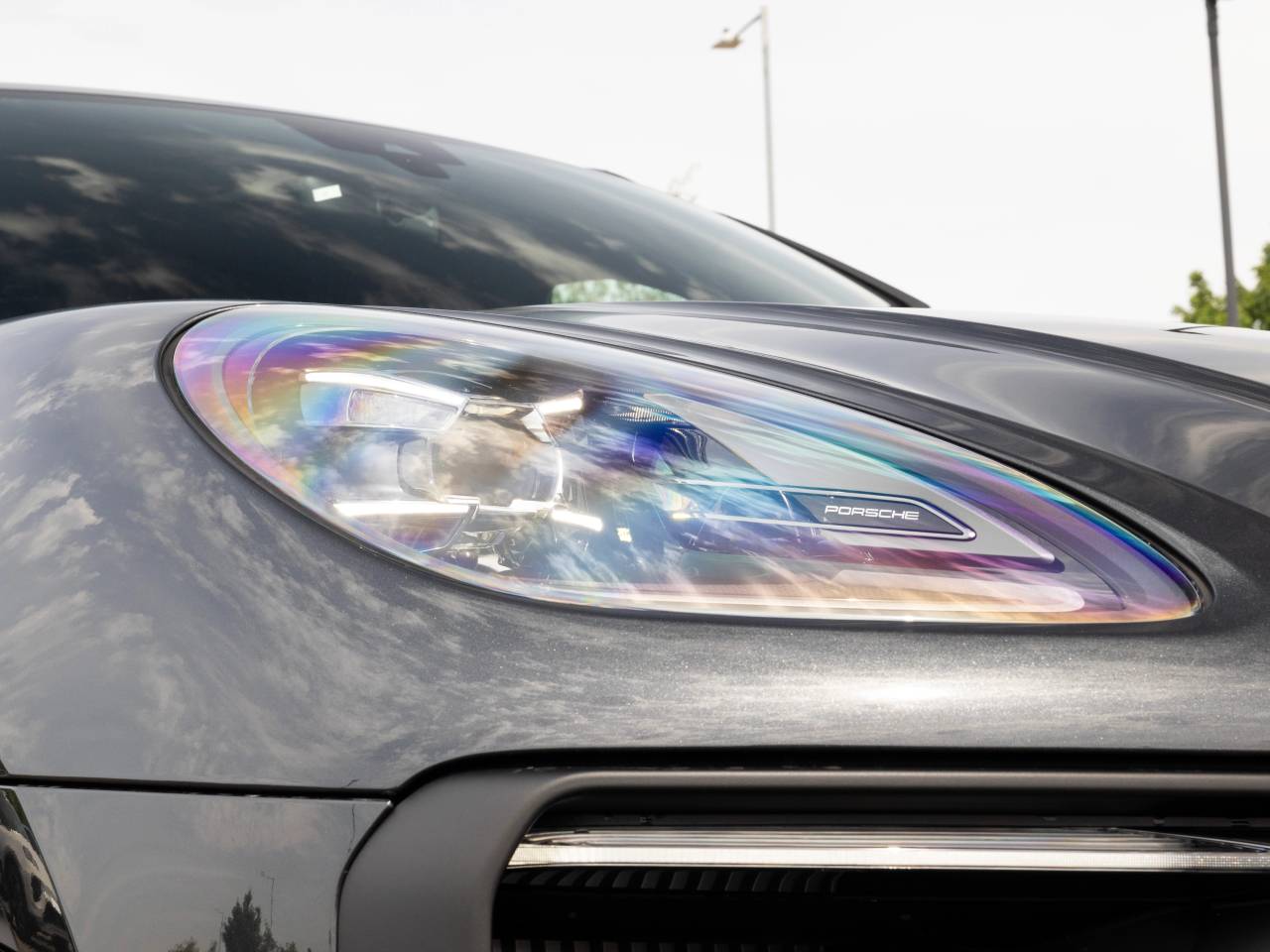 Macan (87) image 25