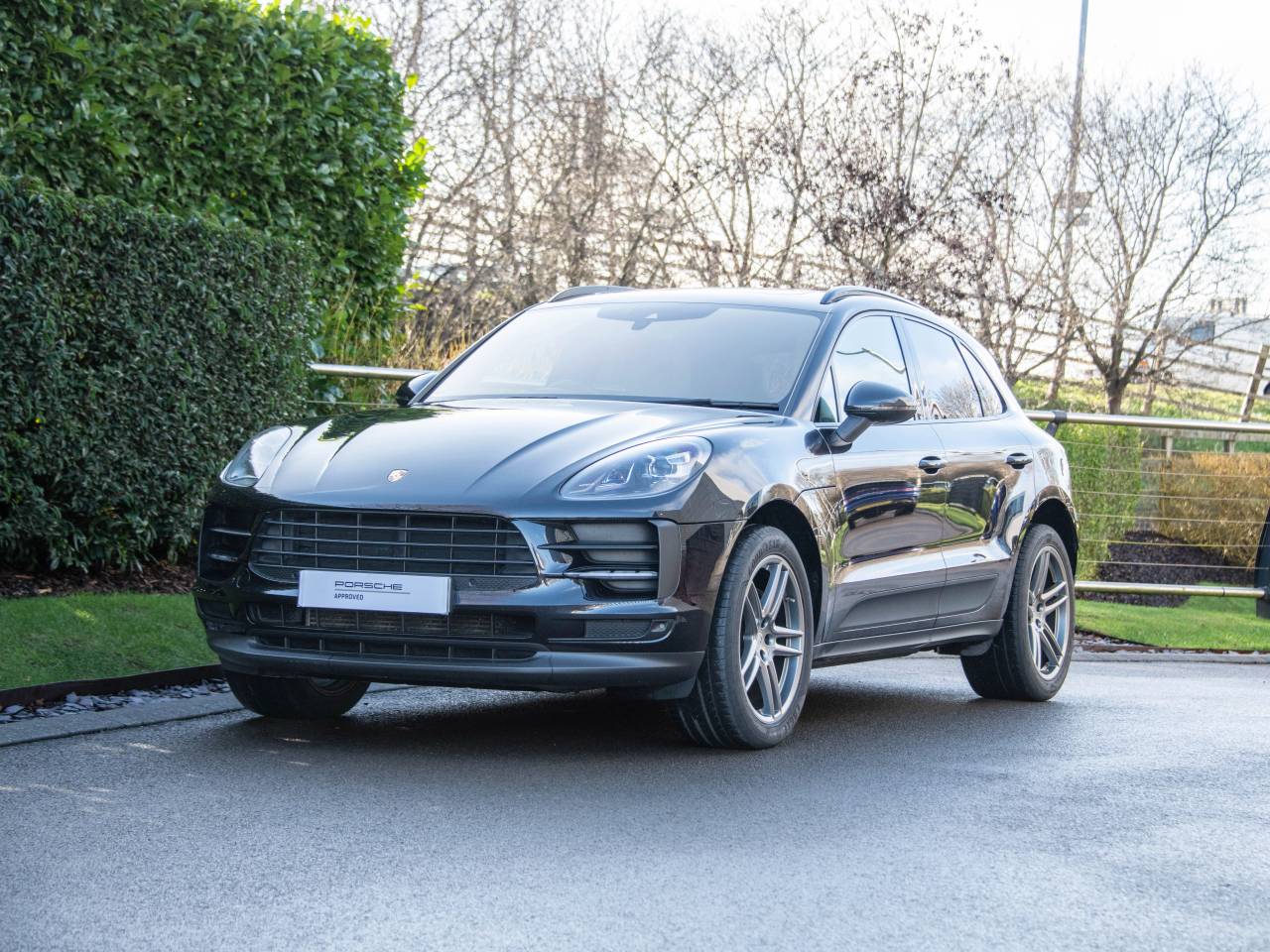 Macan PDK (125) image 61