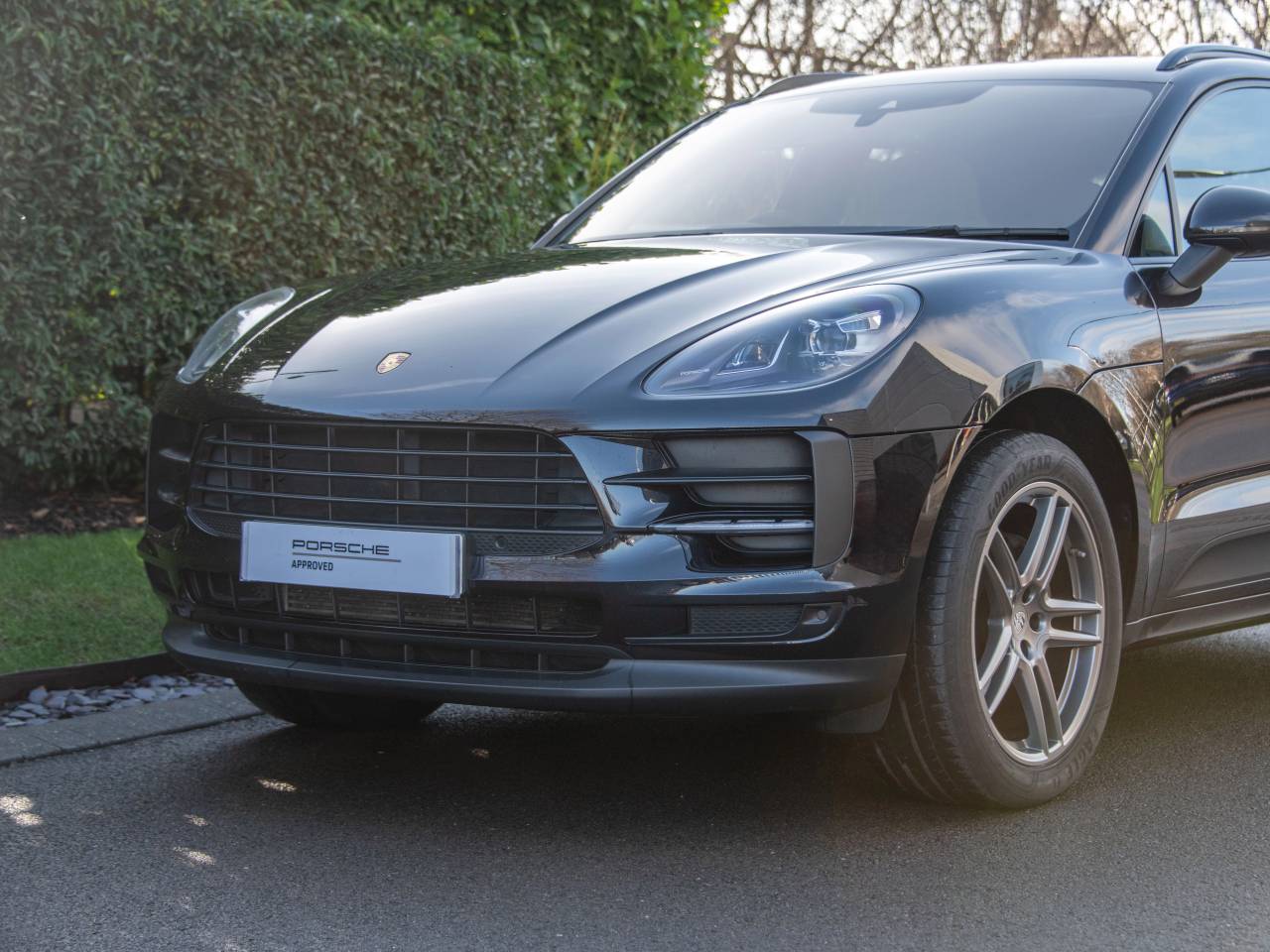 Macan PDK (125) image 08